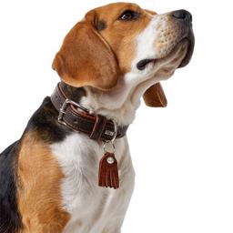 Hunter Cody Läder Halsband i mörkbrun och cognac